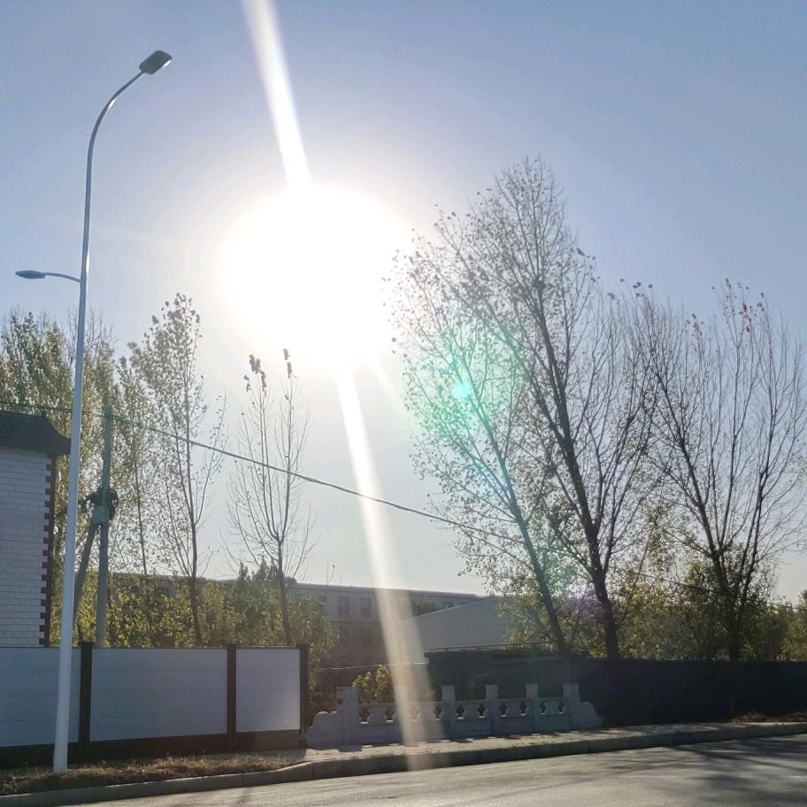 胡乱拍着玩