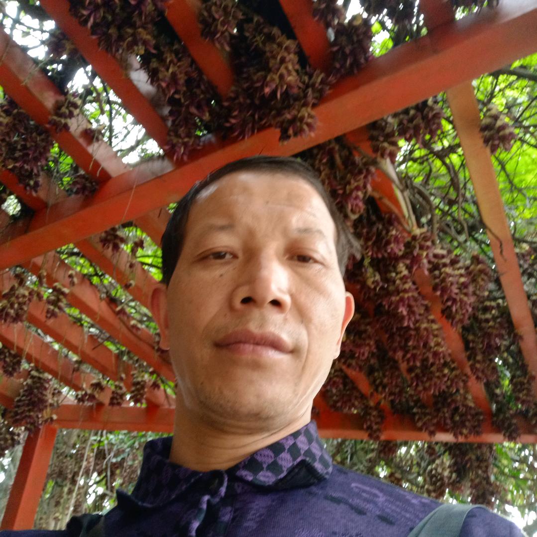 黄文富