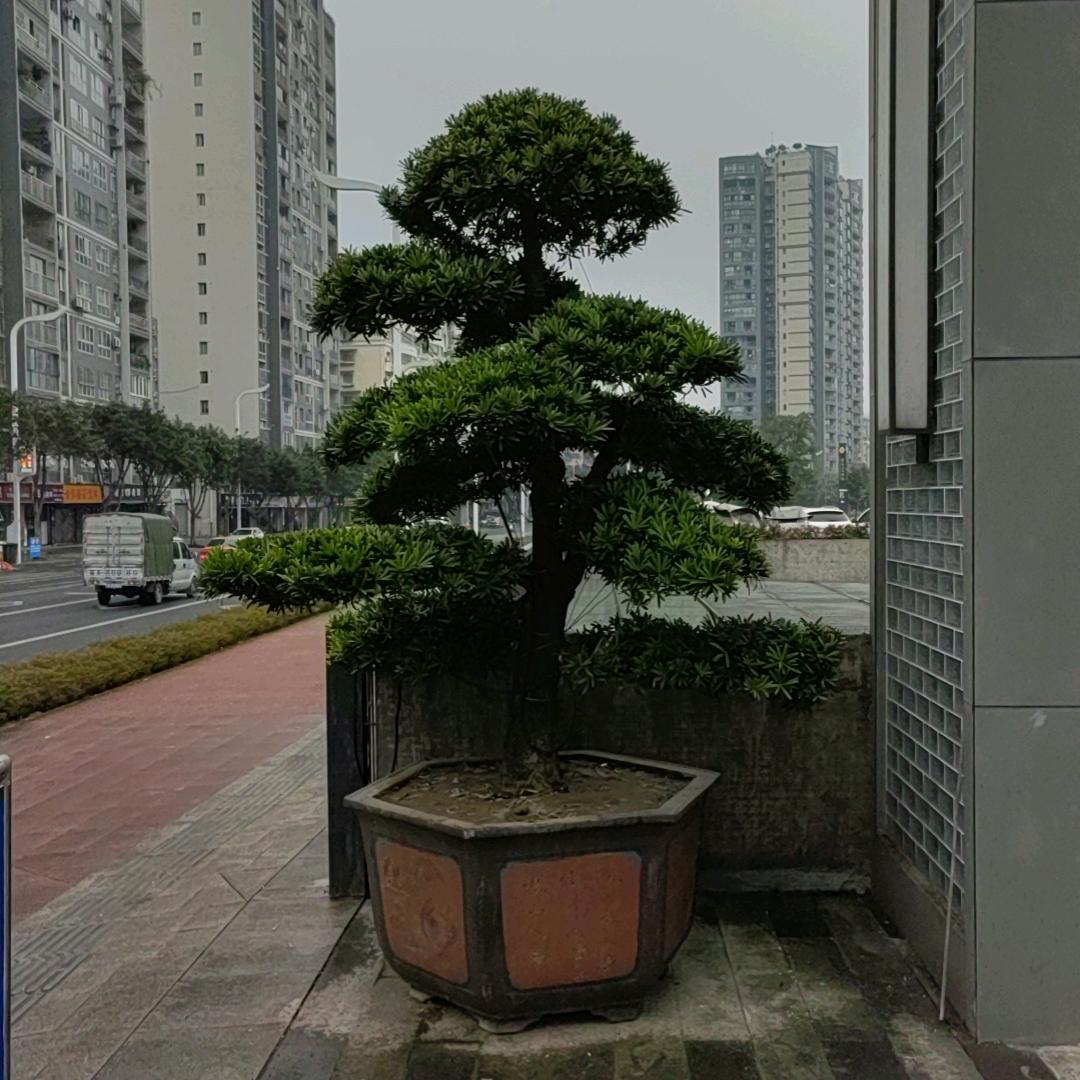 落日！黄昏