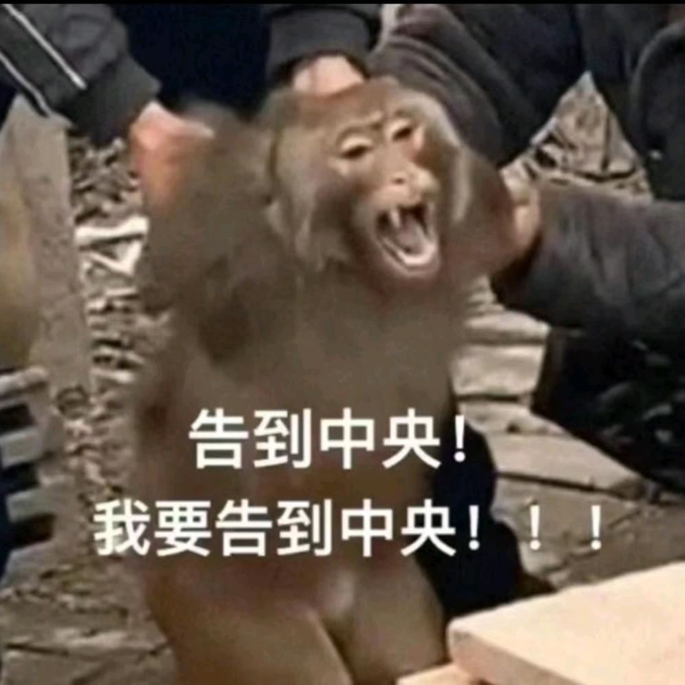 中期目标80kg