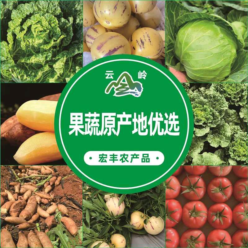 云南宏丰果蔬