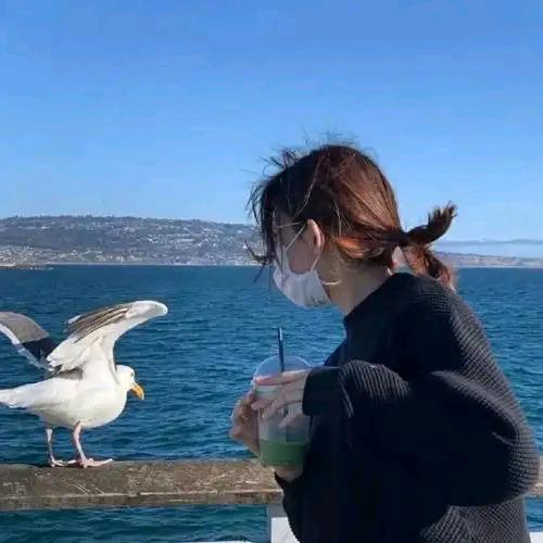 西瓜不吃香菜