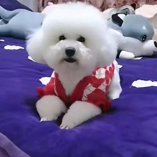 丑丑🥰