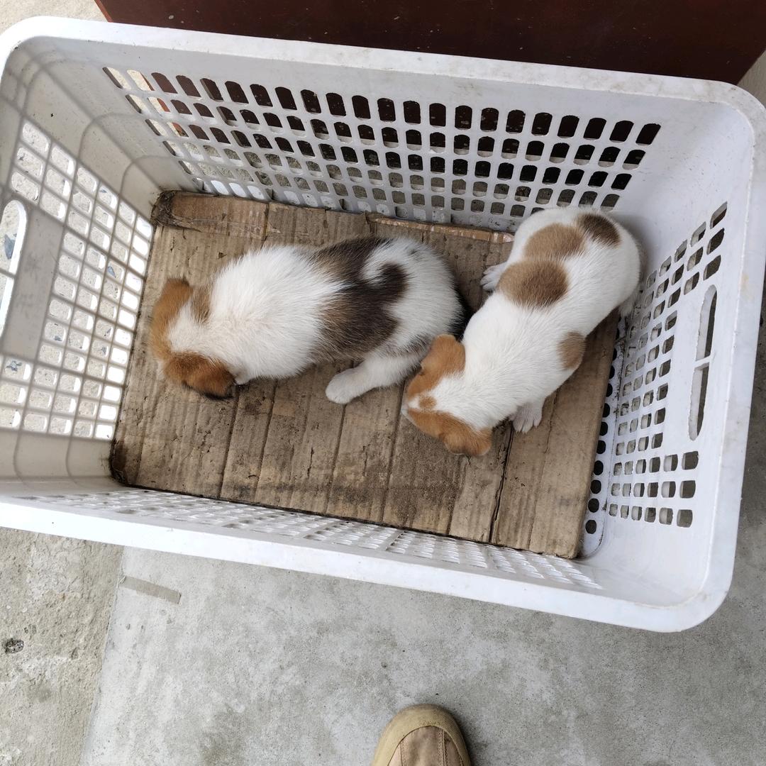 奋斗到底