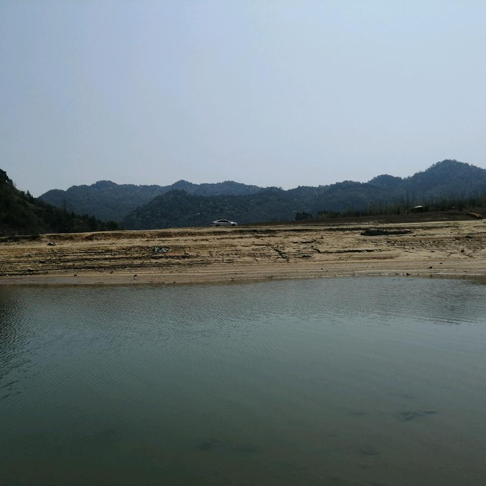 燕子A