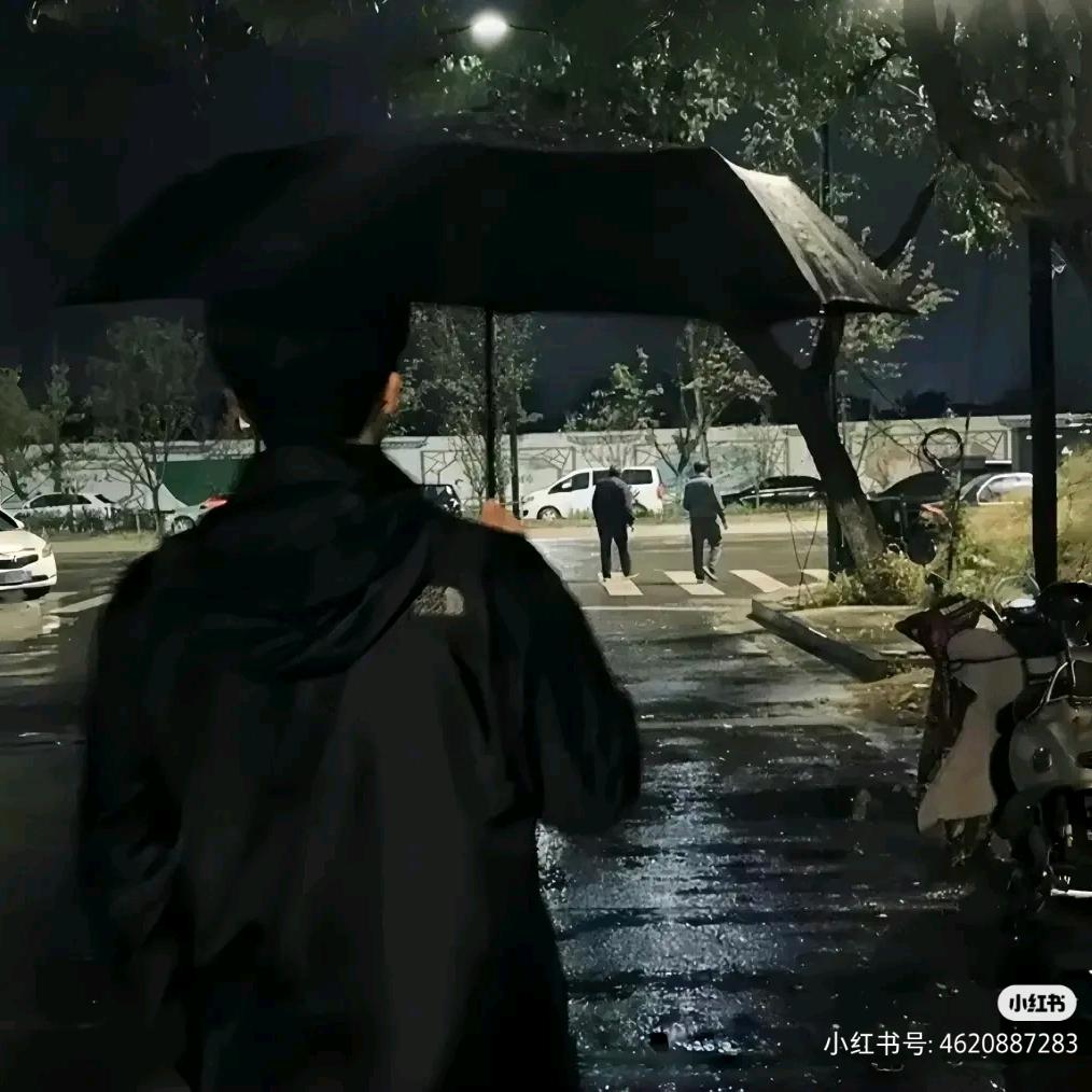 也不曾动过心