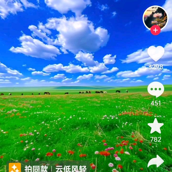 金苹果