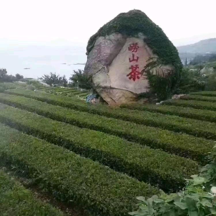 请珍惜你身边对你好的人