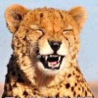 长安街上的明灯