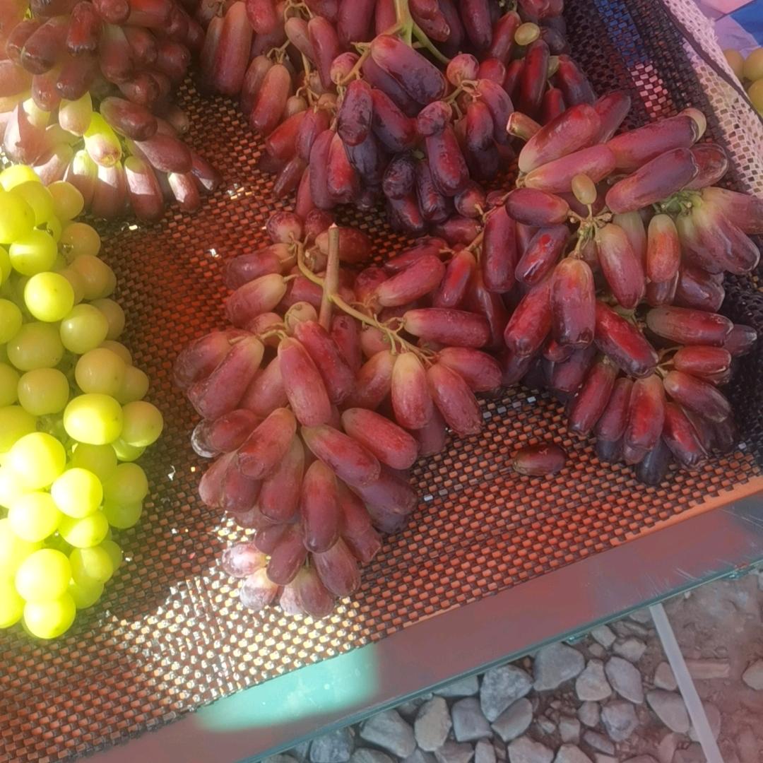 虎哥
