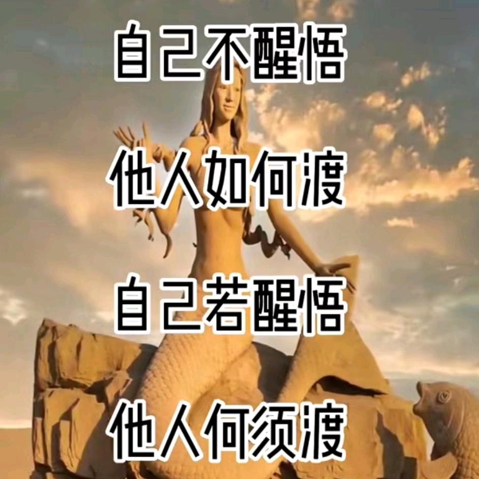 文招哥
