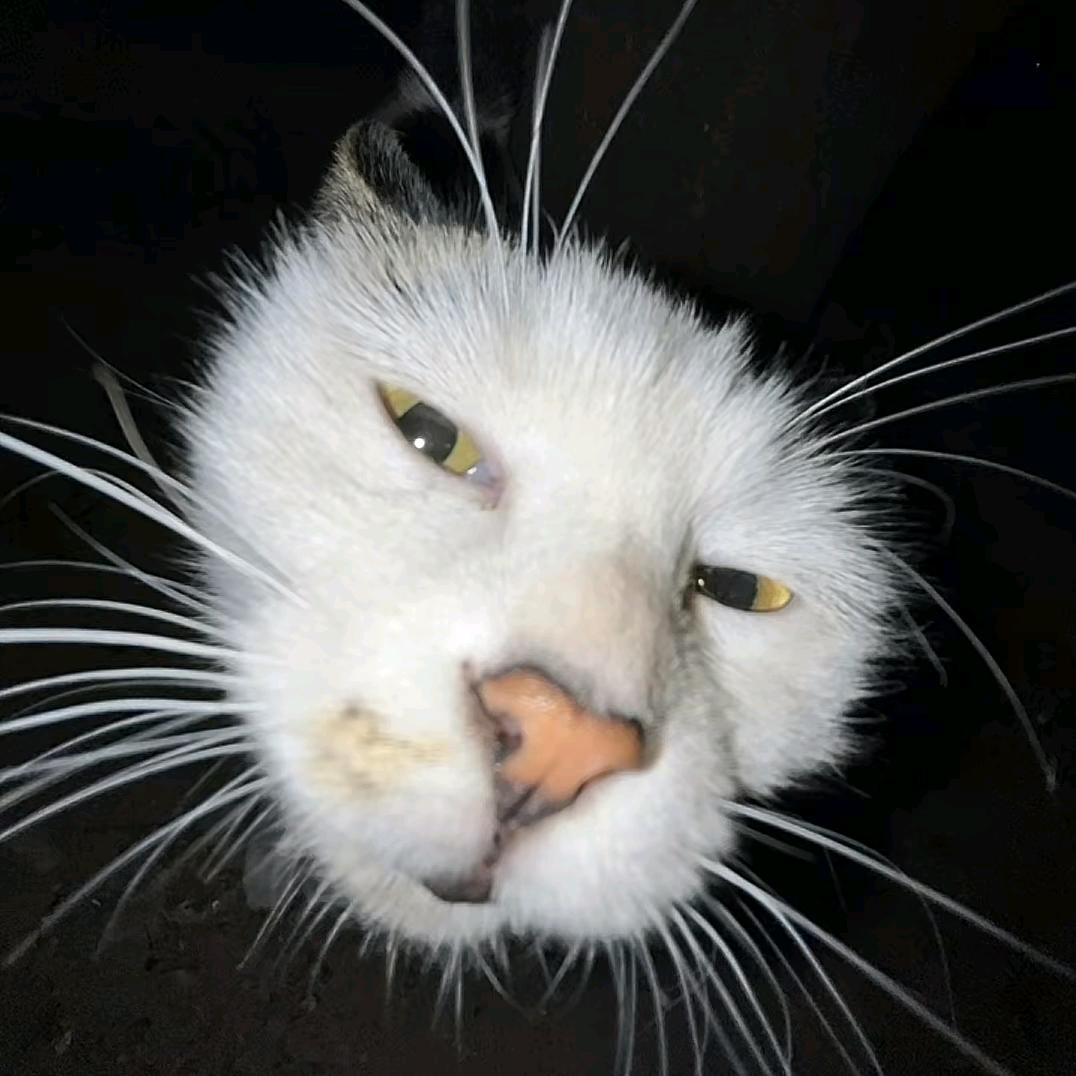 桐人