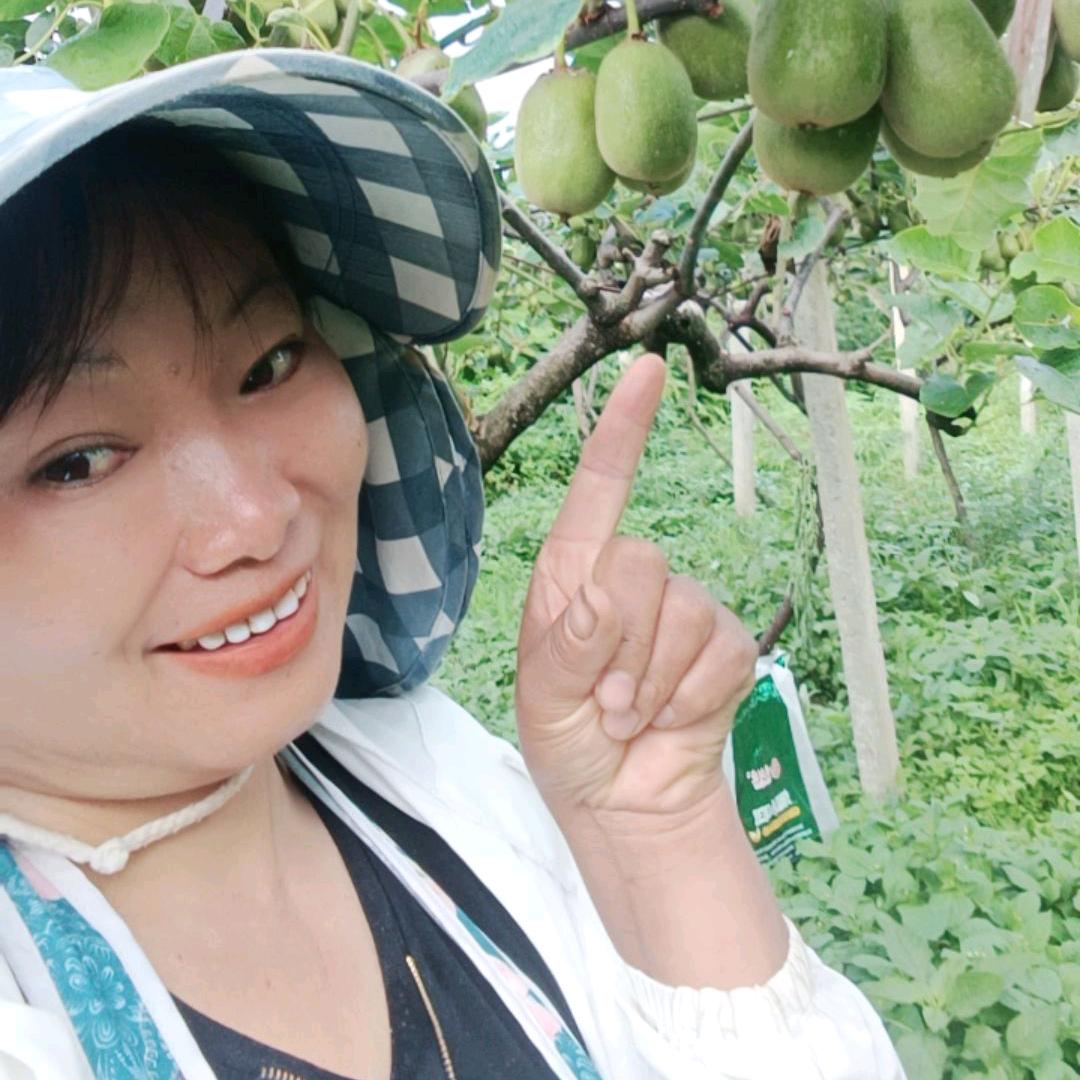 苏羽飞羽水果创意屋