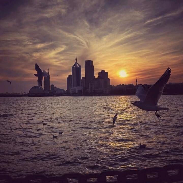 华辰禧美业(新疆伊犁店)专用号