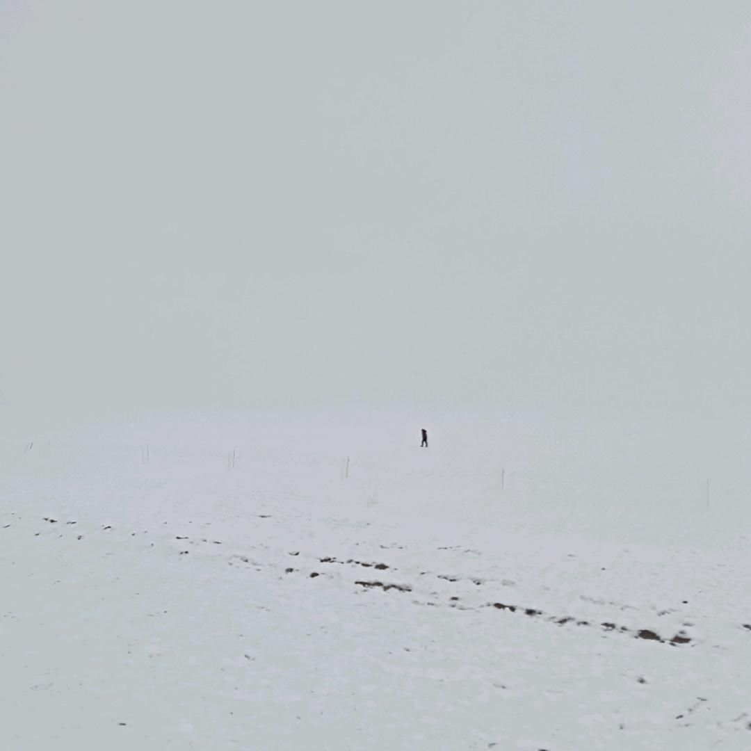 愚人码头头像