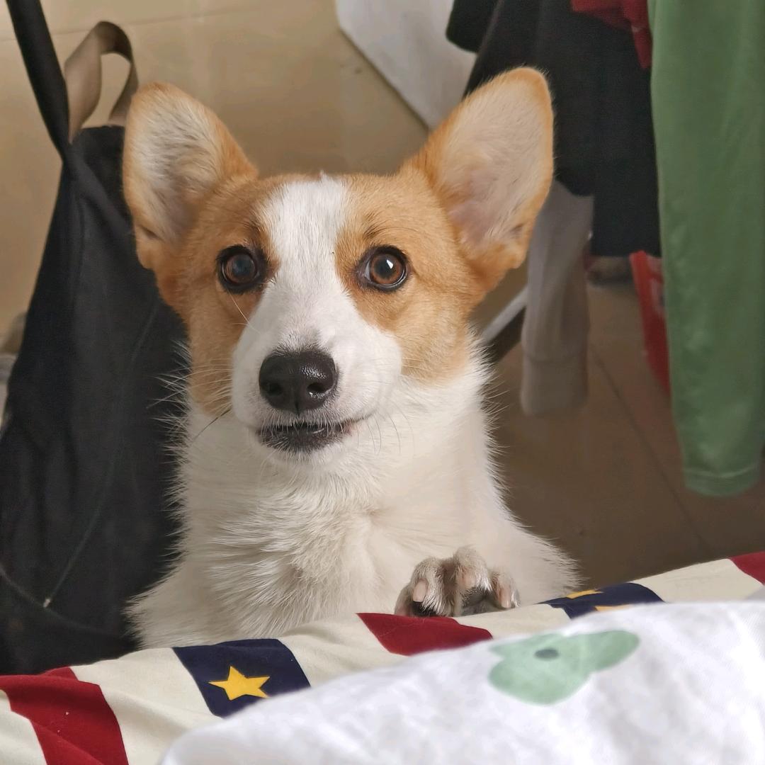 今天晒太阳了吗.