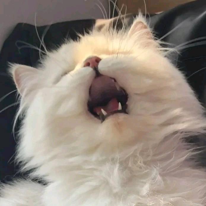 𝗣𝗶𝘄𝗿𝗶𝗿