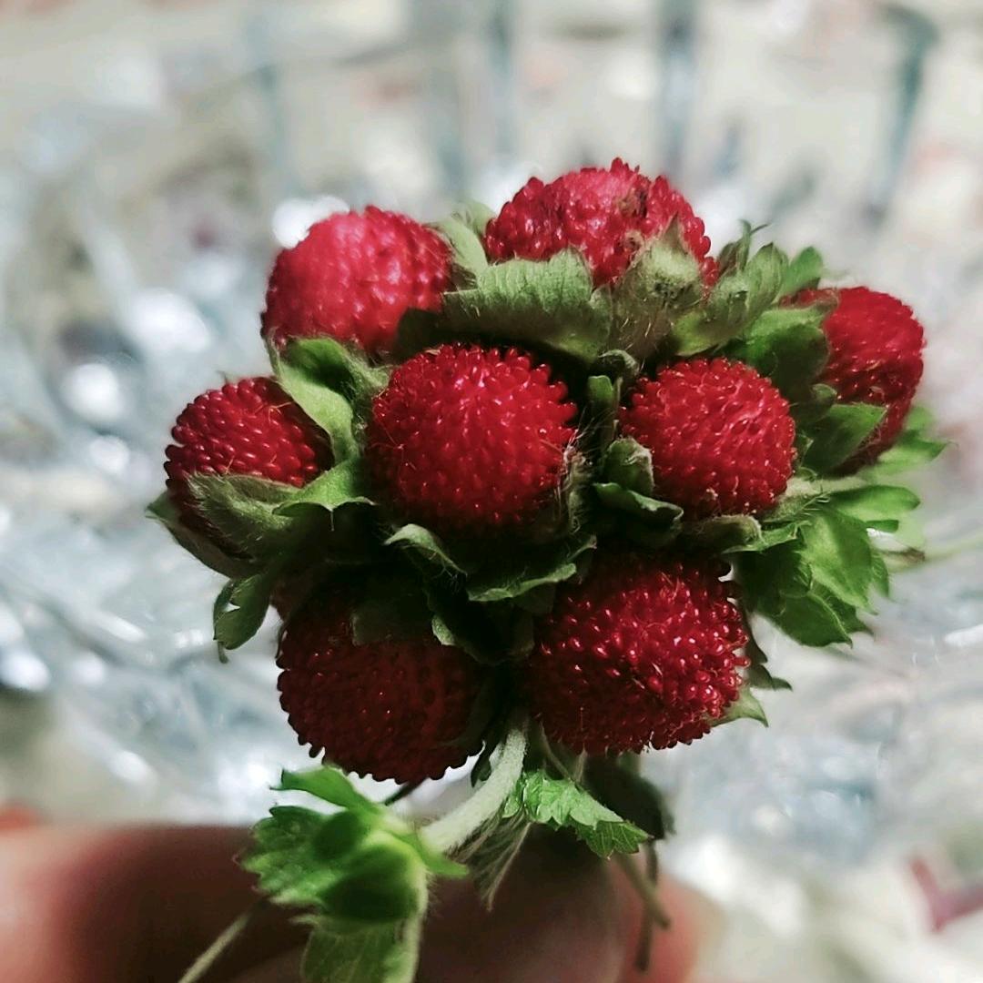 鲁金福粮油批发