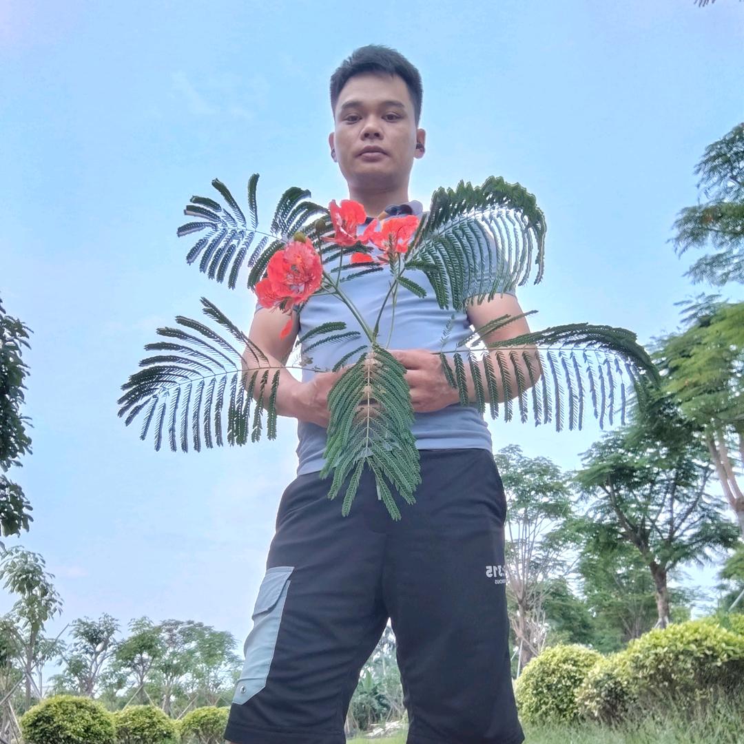 小李哥