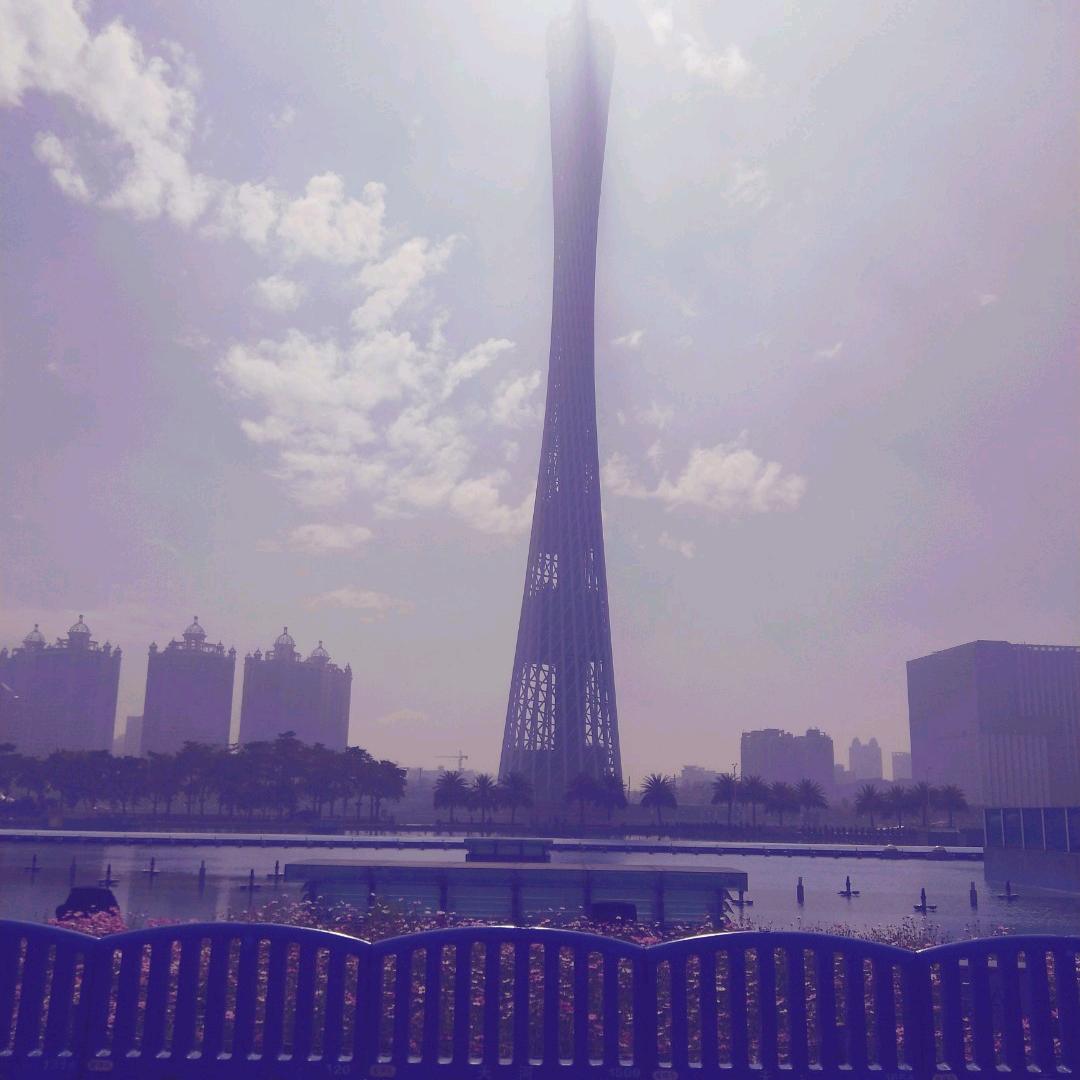 烁烁