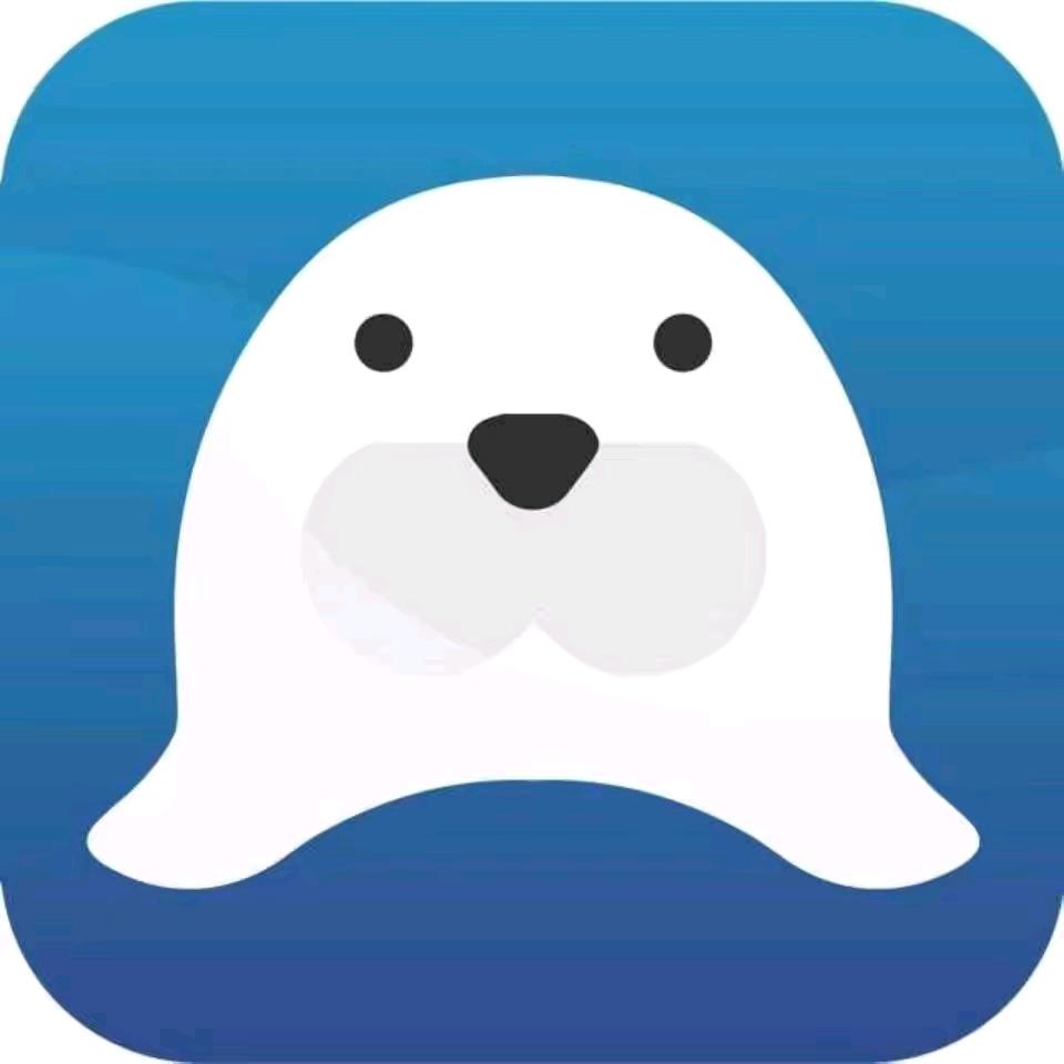 迈朦曦芷网络科技工作室