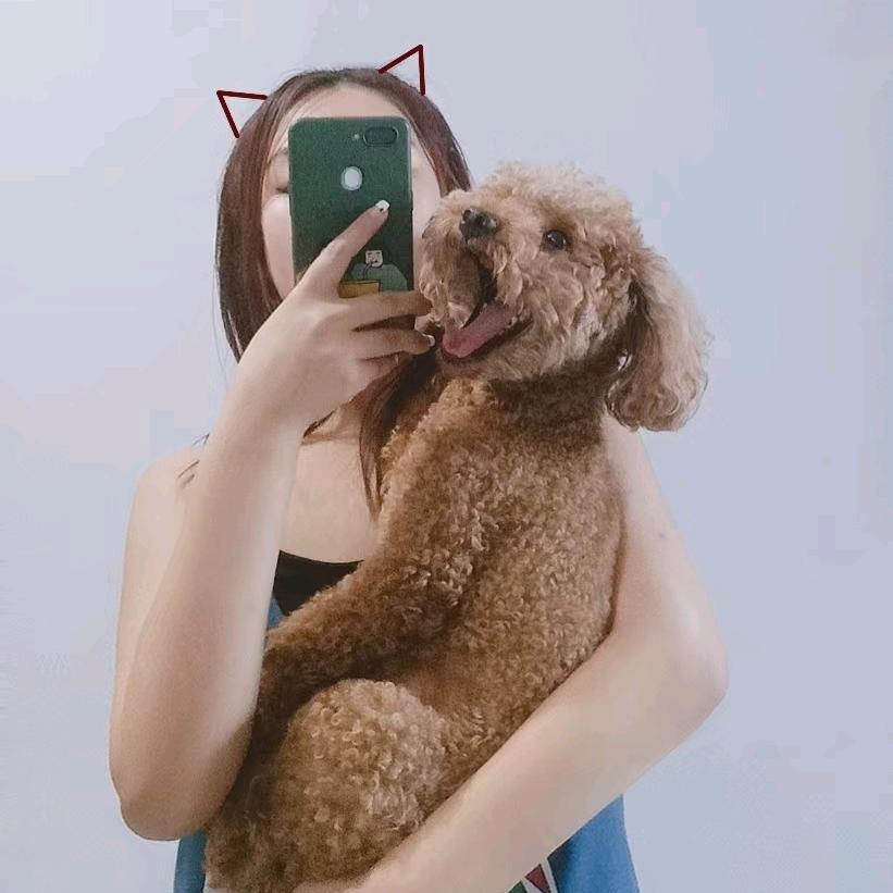 元宝~