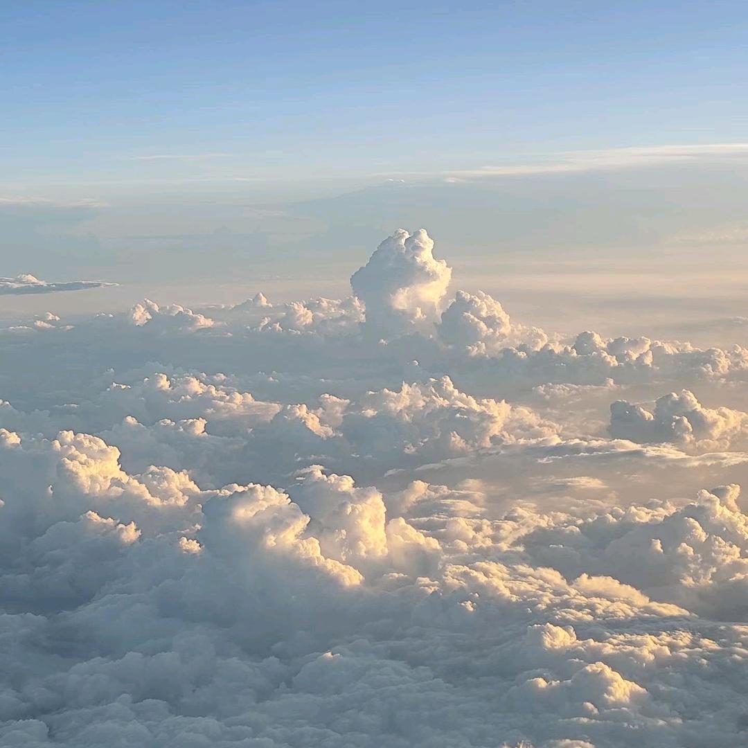 心🌸雨《骨折恢复中》