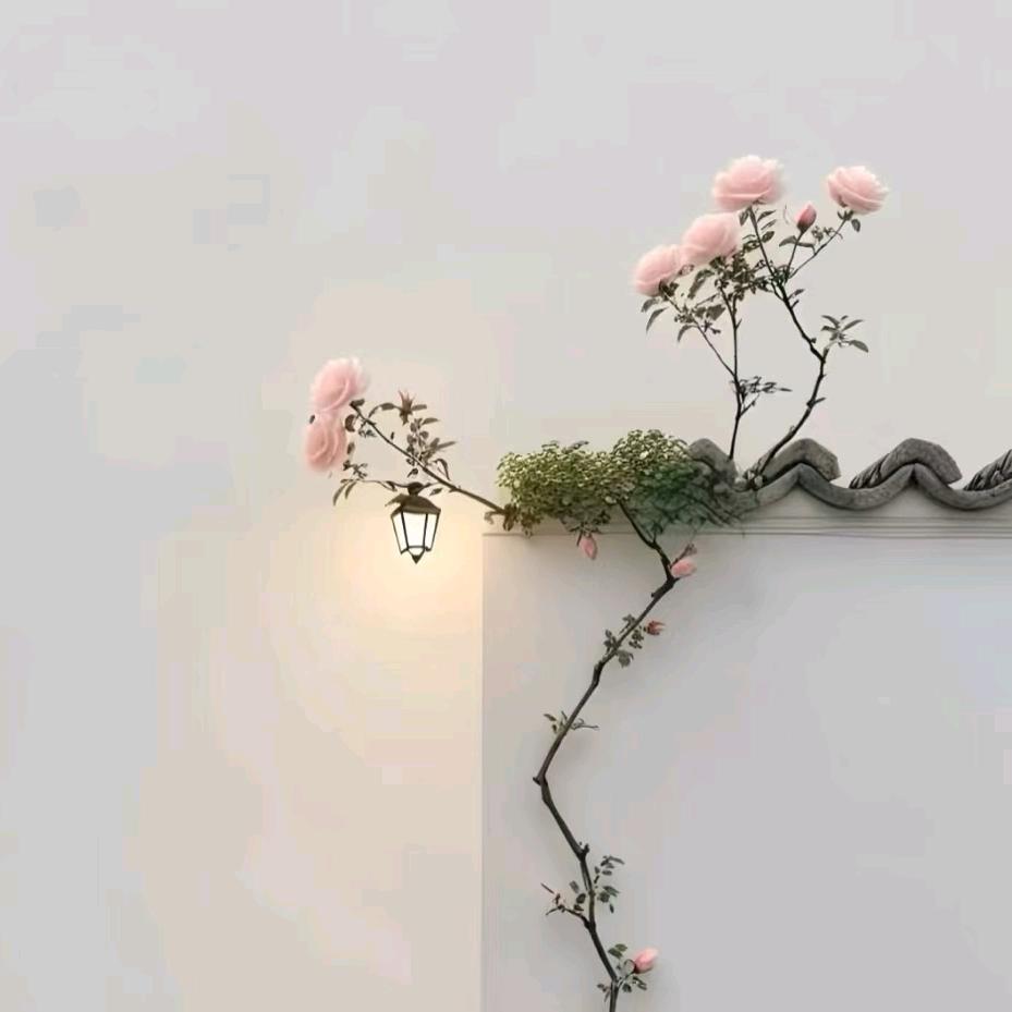 狗笨大宝宝