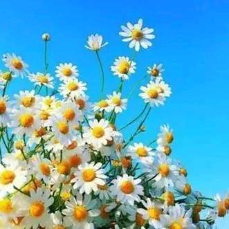 回忆都是伤🙏🙏🙏勇哥歌迷