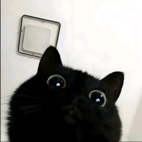 乖