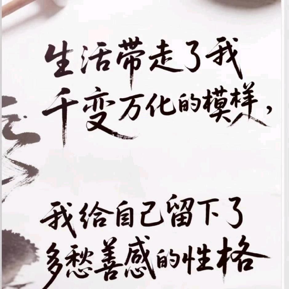 好运莲莲