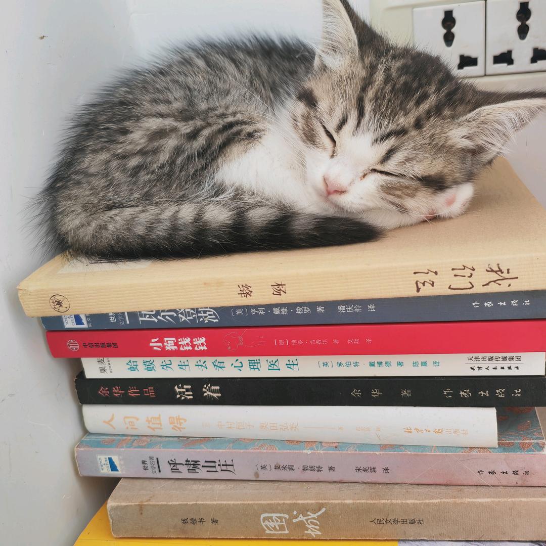 熙哥