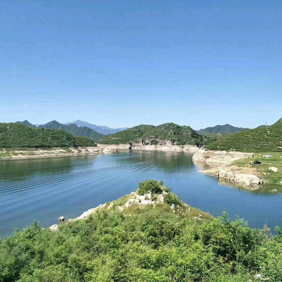 自由飞翔。