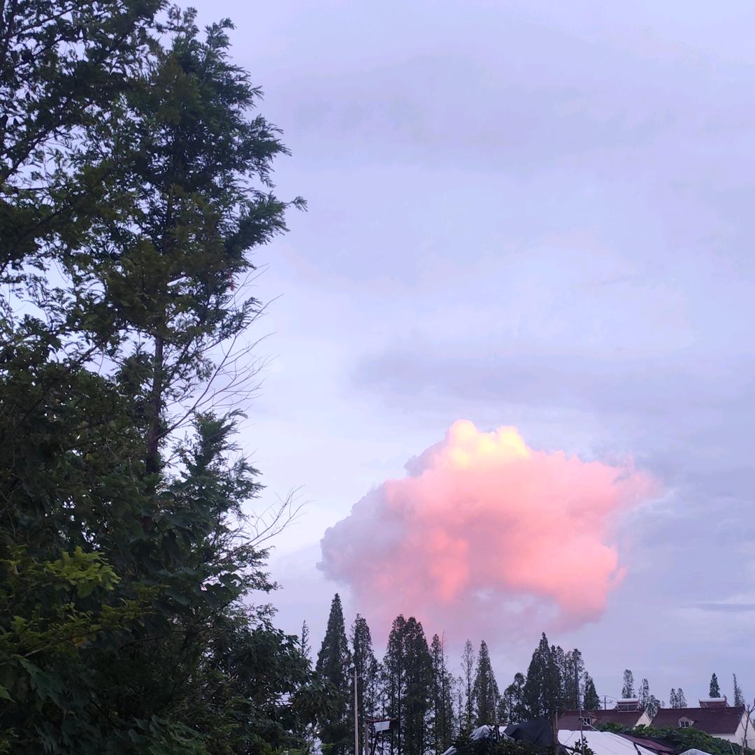 90后种植大棚
