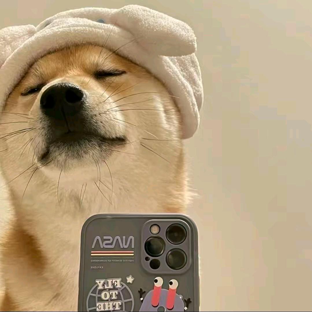 ㅤㅤ ㅤ        ㅤ