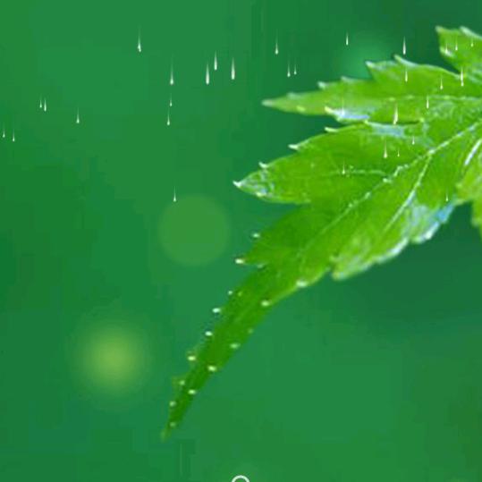我的世界有你