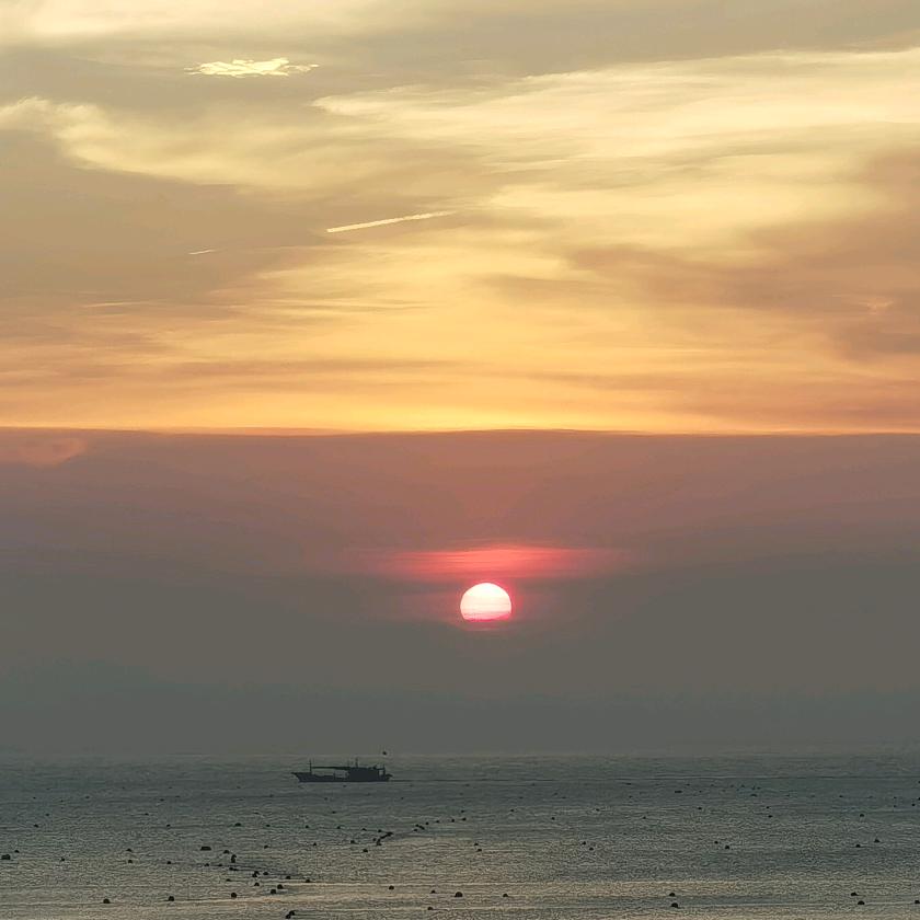 睡不醒的瞌睡虫💤