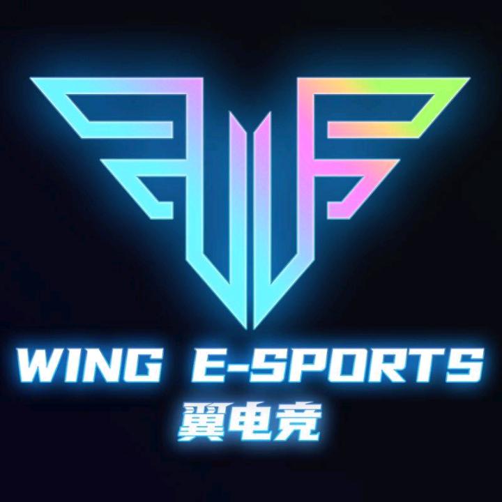 翼电竞新伟业店