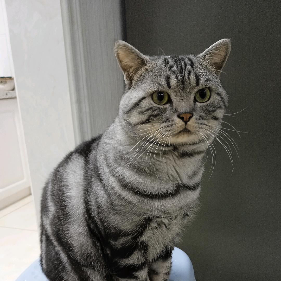 🌈韩湘子🌹🌈