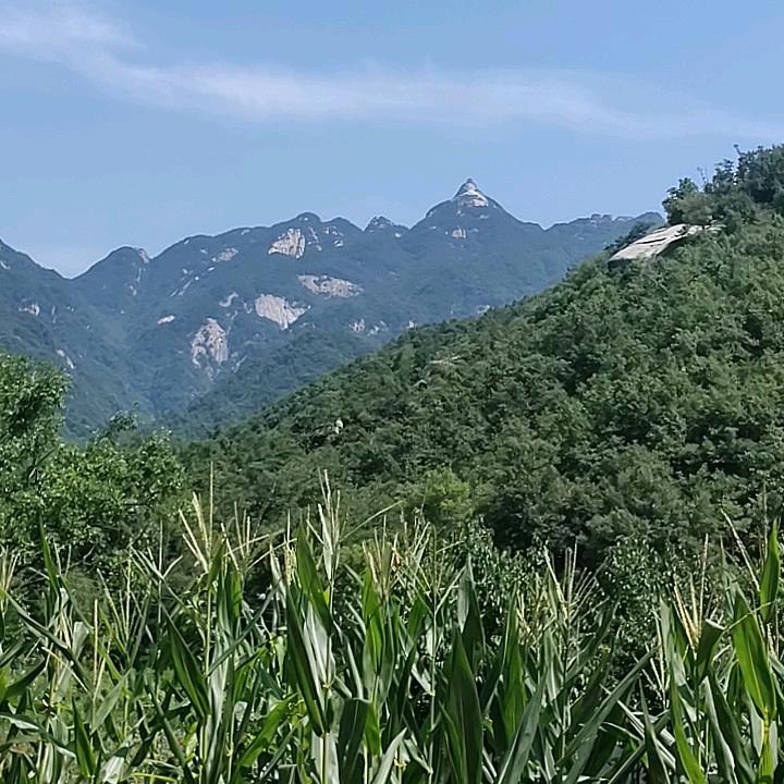 迷茫的前半生