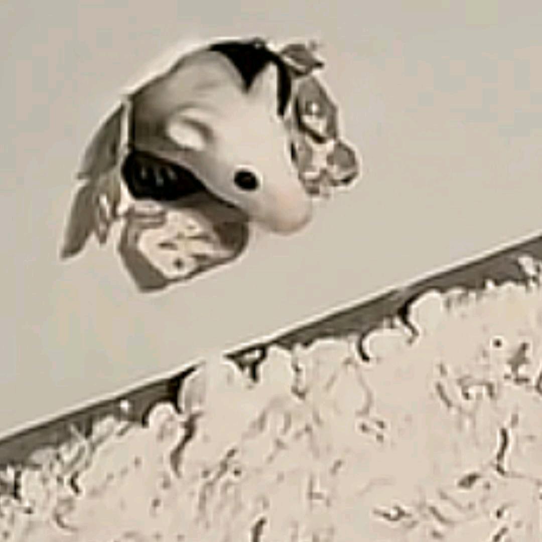时之预言