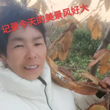 环姐