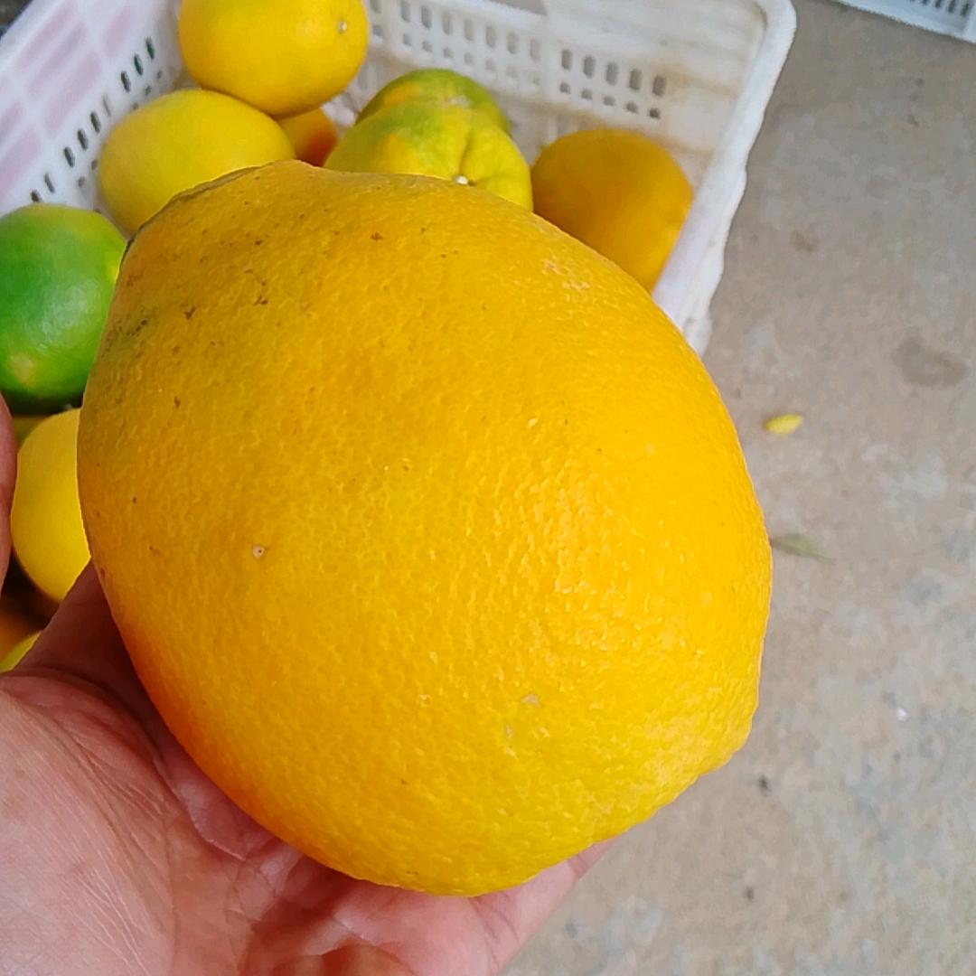 喝着凉水唱情歌