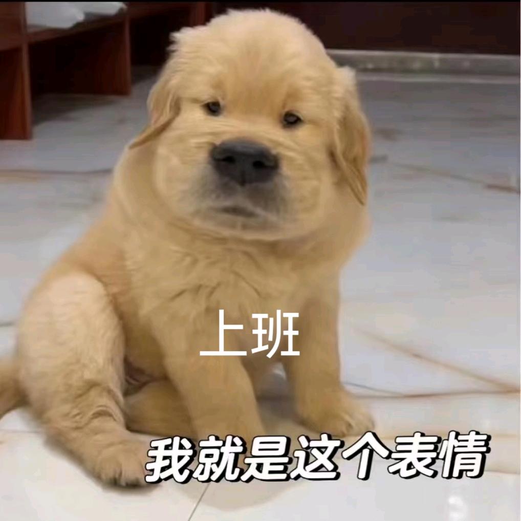 沉浸式