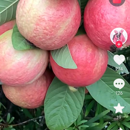 用户9332790313255
