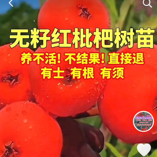 源头～