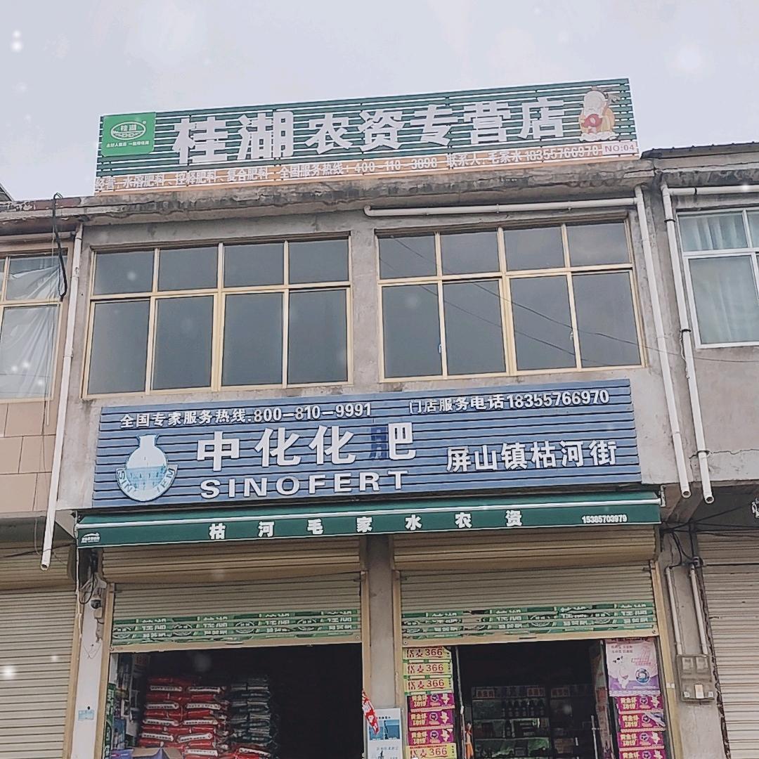 枯河河西中化化肥