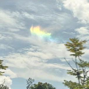 张世超