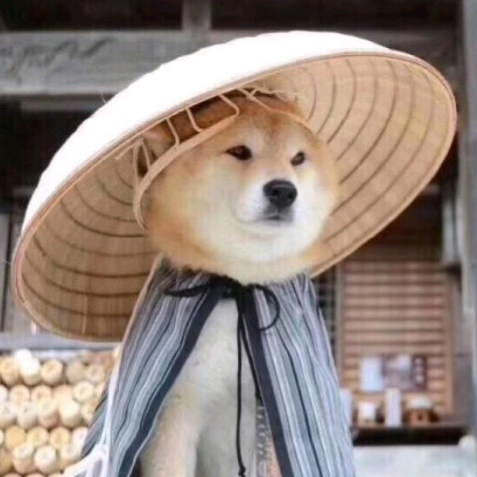 郑二啊
