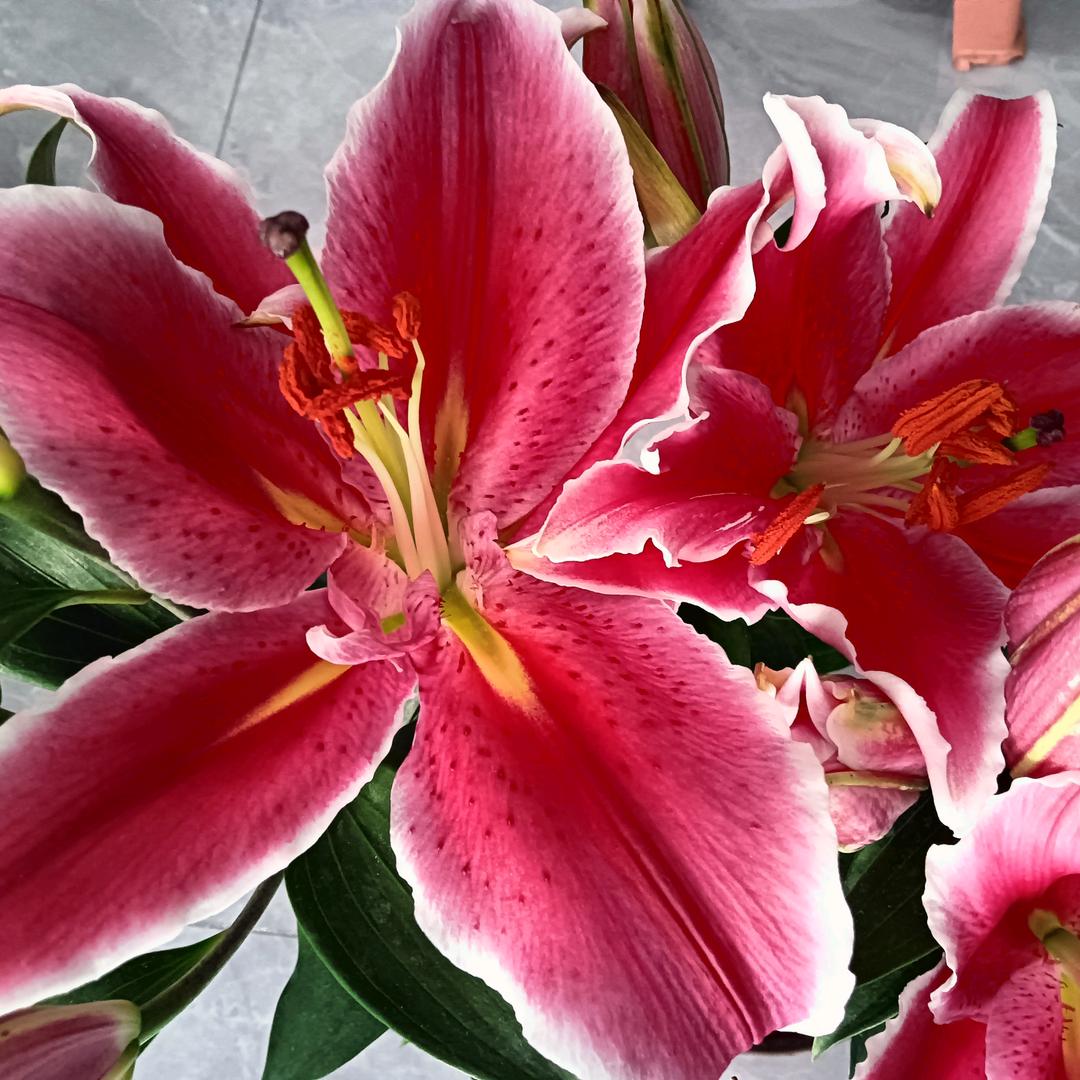 ℳ̶̶̶̶໌໌້ᮨ招财钱来꧔